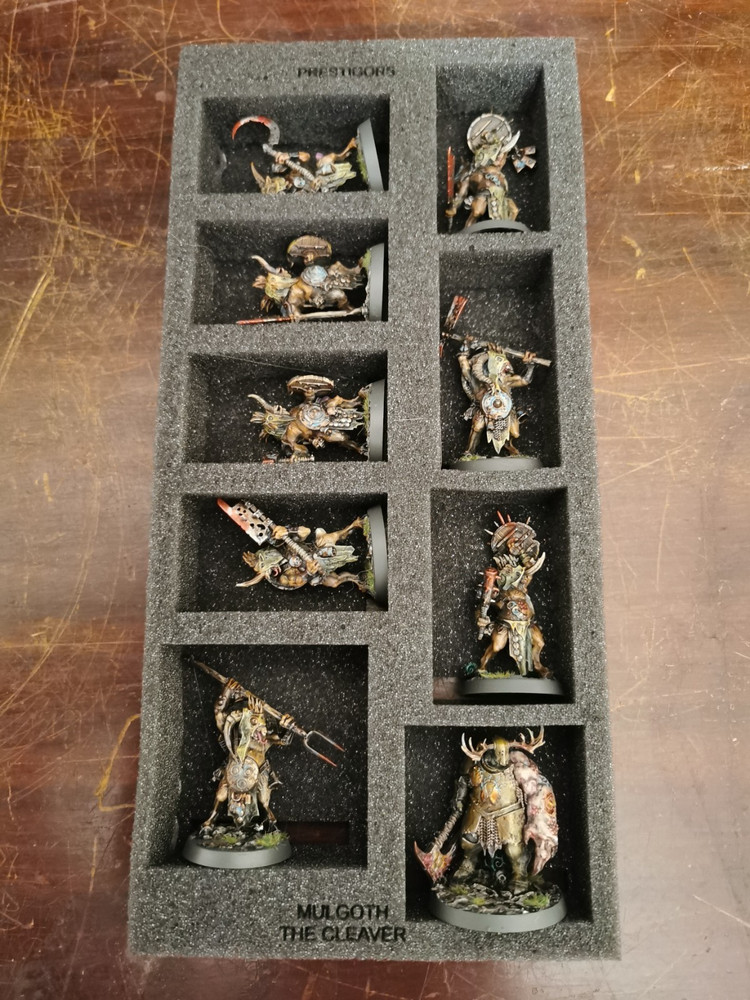 Warhammer quest Darkwater foam trays