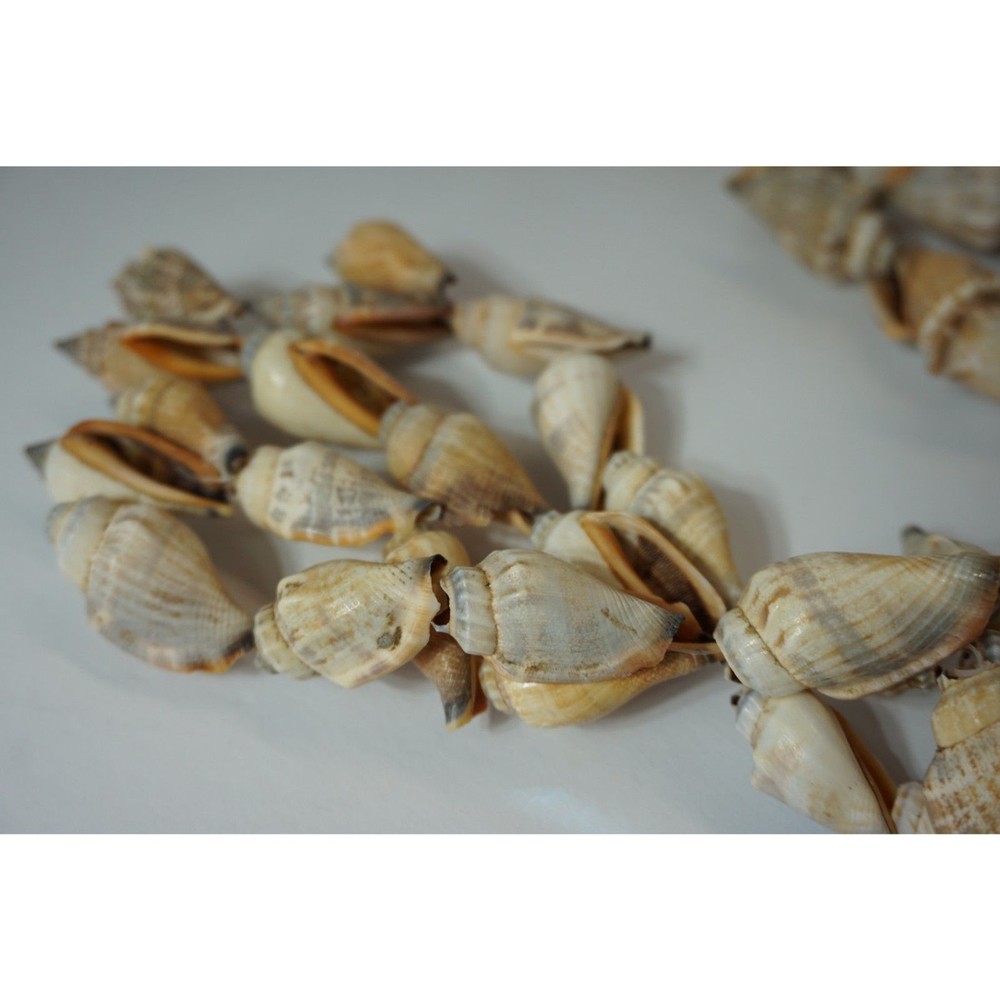Hanging Seashells Pot Holder Shells on a string