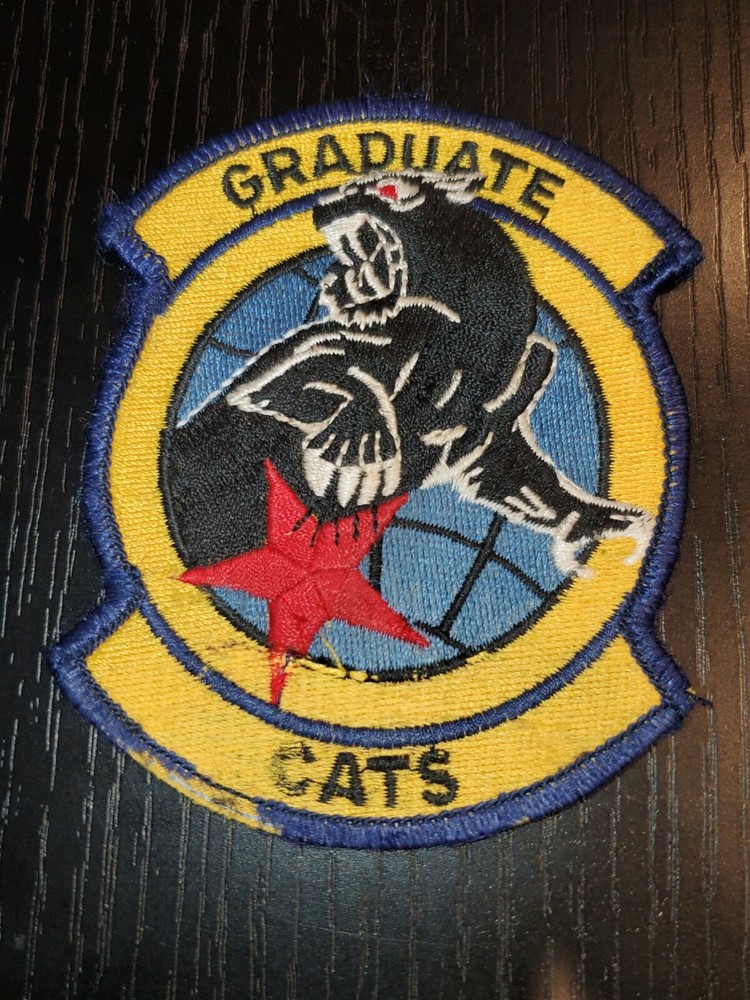 1960s 70s USAF Air Force Cats! Fighter Squadron Patch