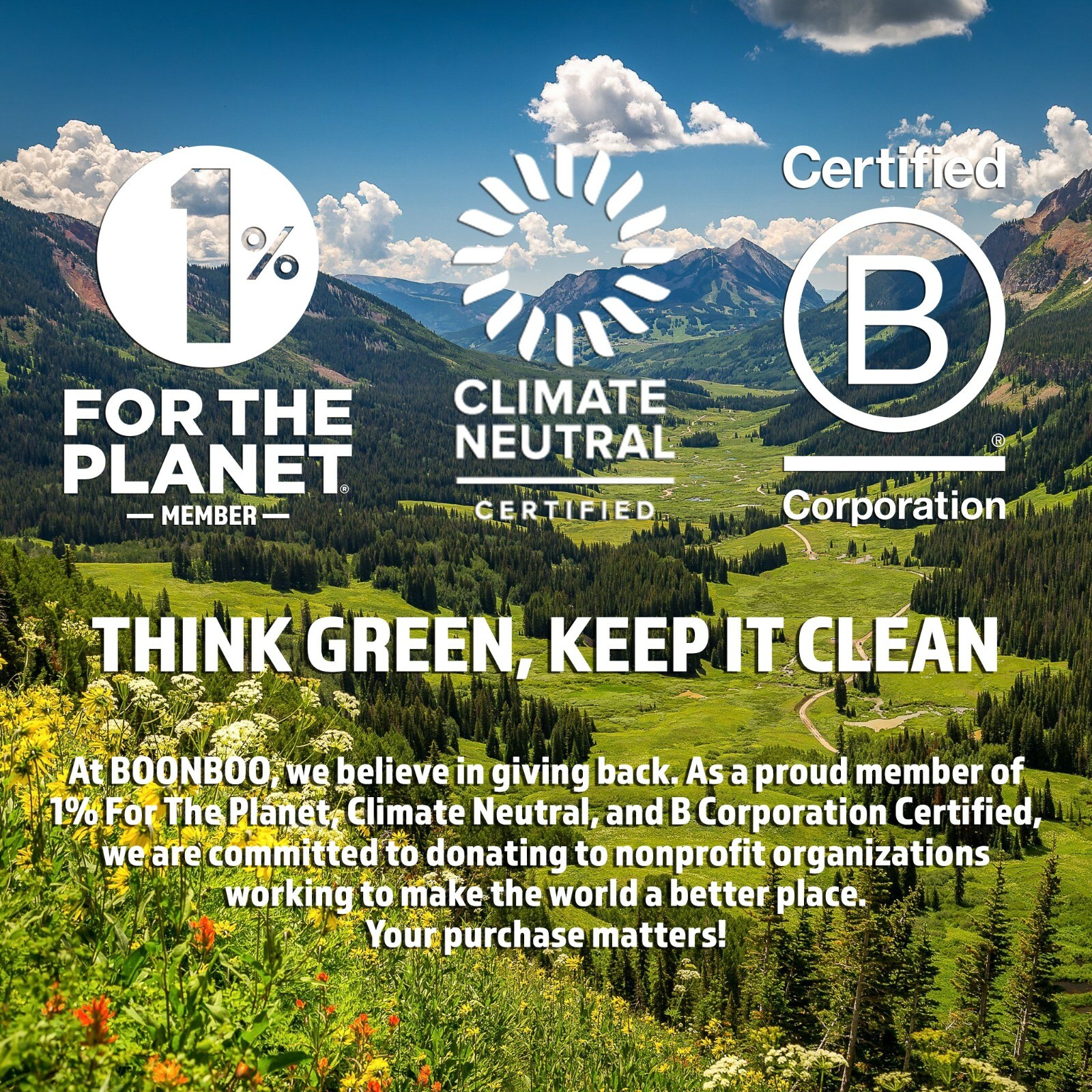 BOONBOO Dental Floss Refill, Bamboo Charcoal Woven Thread, 8 Heads , Mint