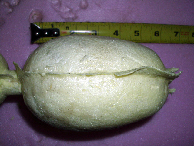 THREE SMALL DUCK BODY FOAM FORMS ( Bufflehead - Teal etc . )
