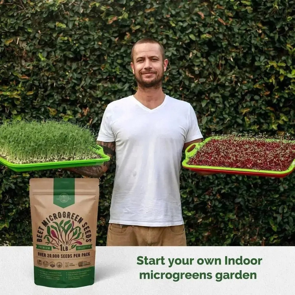 Beet Sprouting & Microgreens Seeds 1lb