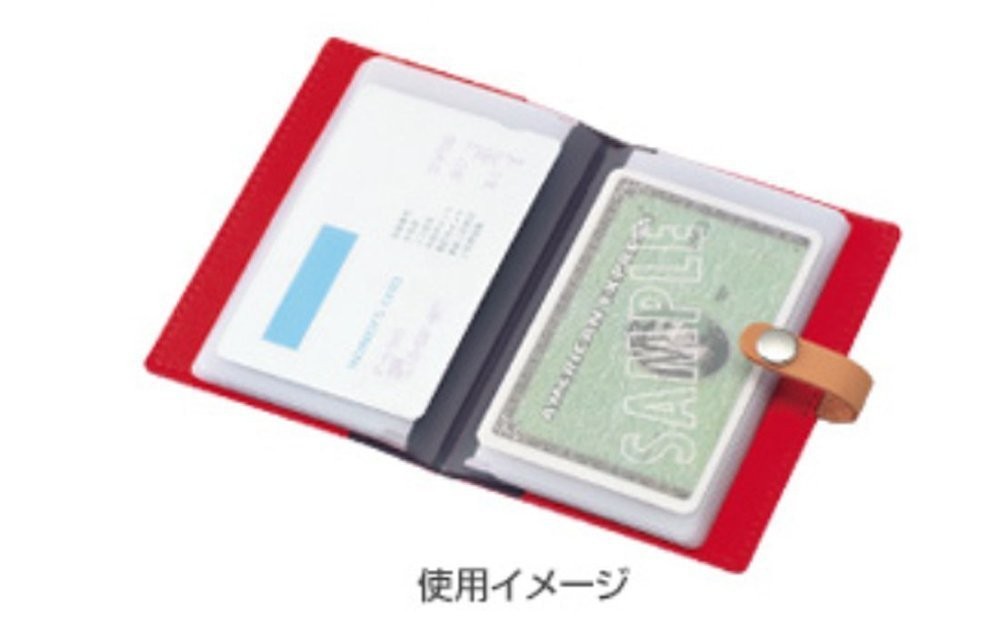 Raymay Fuji Card Case Plug-in 20 Pockets CH402