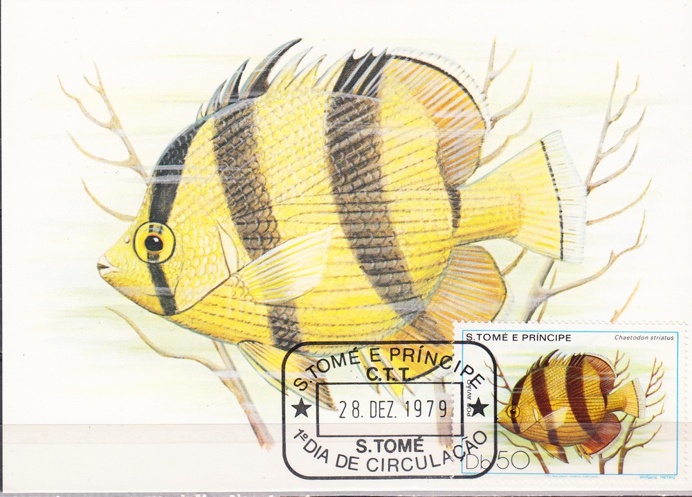 W SAINT-THOMAS 0553 MC FISH MAXI CARD