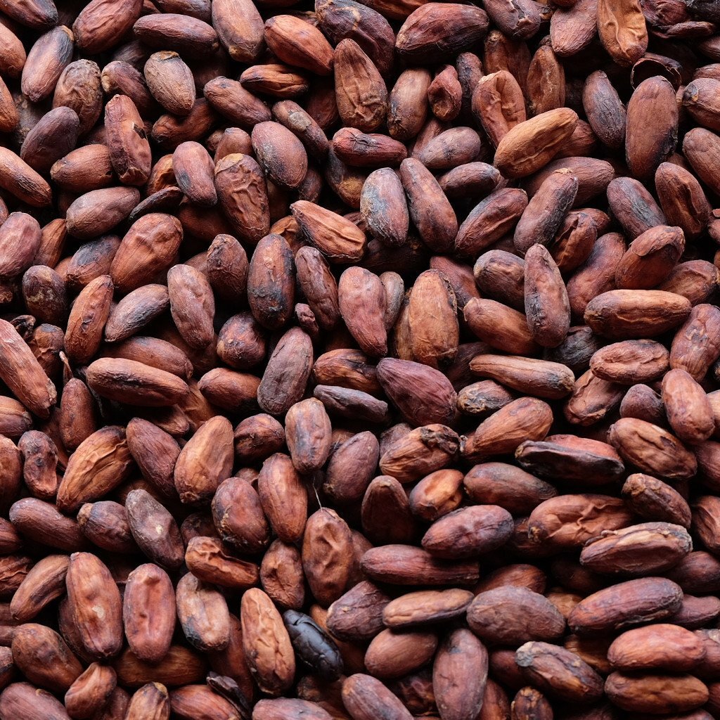 Raw Cacao / Cocoa Beans Whole Chocolate Arriba Nacional Bean 1 oz to 15 Lb Bulk