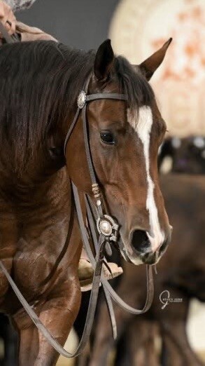 GORGEOUS Vintage Silver Overlay & Inlay BLUED Steel Horse Show Snaffle BIT