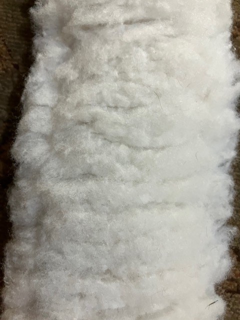 ENGLISH GIRTH AND SADDLE PAD