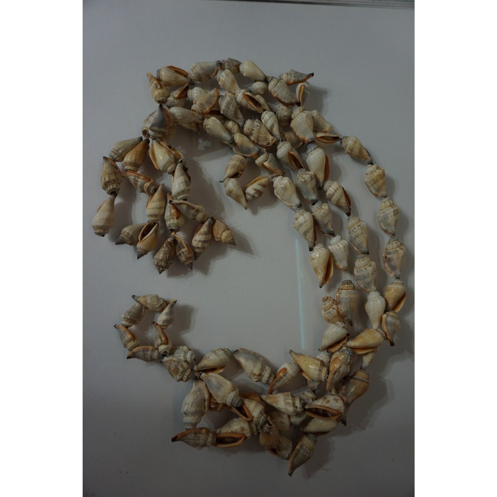 Hanging Seashells Pot Holder Shells on a string