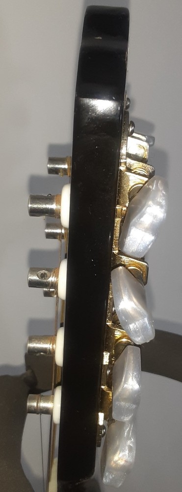 Avila A6 Mandolin with Gig Bag