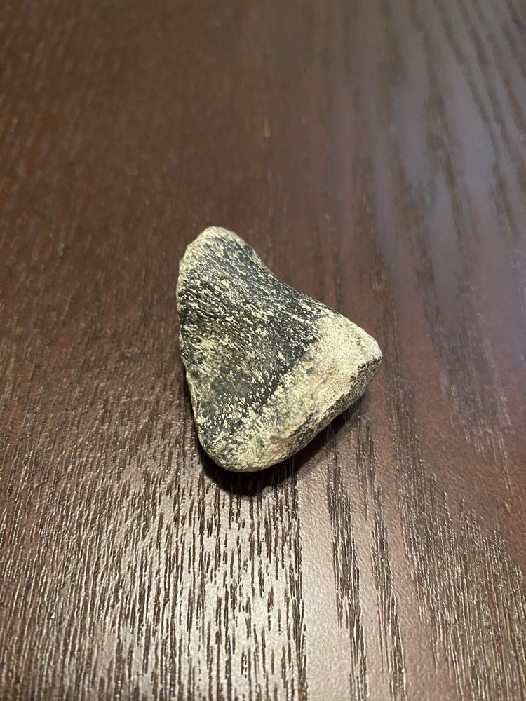 Ancient Fossil, Bone, Unusual, Age Unknown, Very Old, REAL!