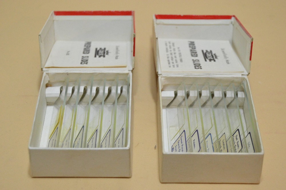 Vintage Crest Prepared Microscope Slides