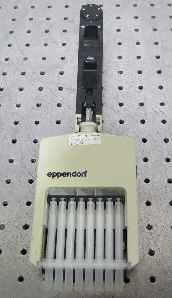 R196739 Eppendorf Repeater Multichannel Pipette