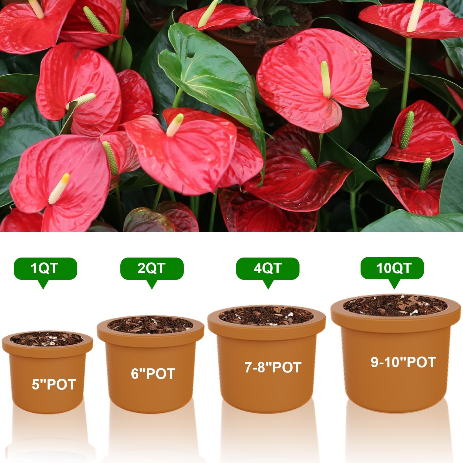 Doter All-Natural Potting Soil for Anthurium & Indoor Plants 10qt - Enhanced Dra