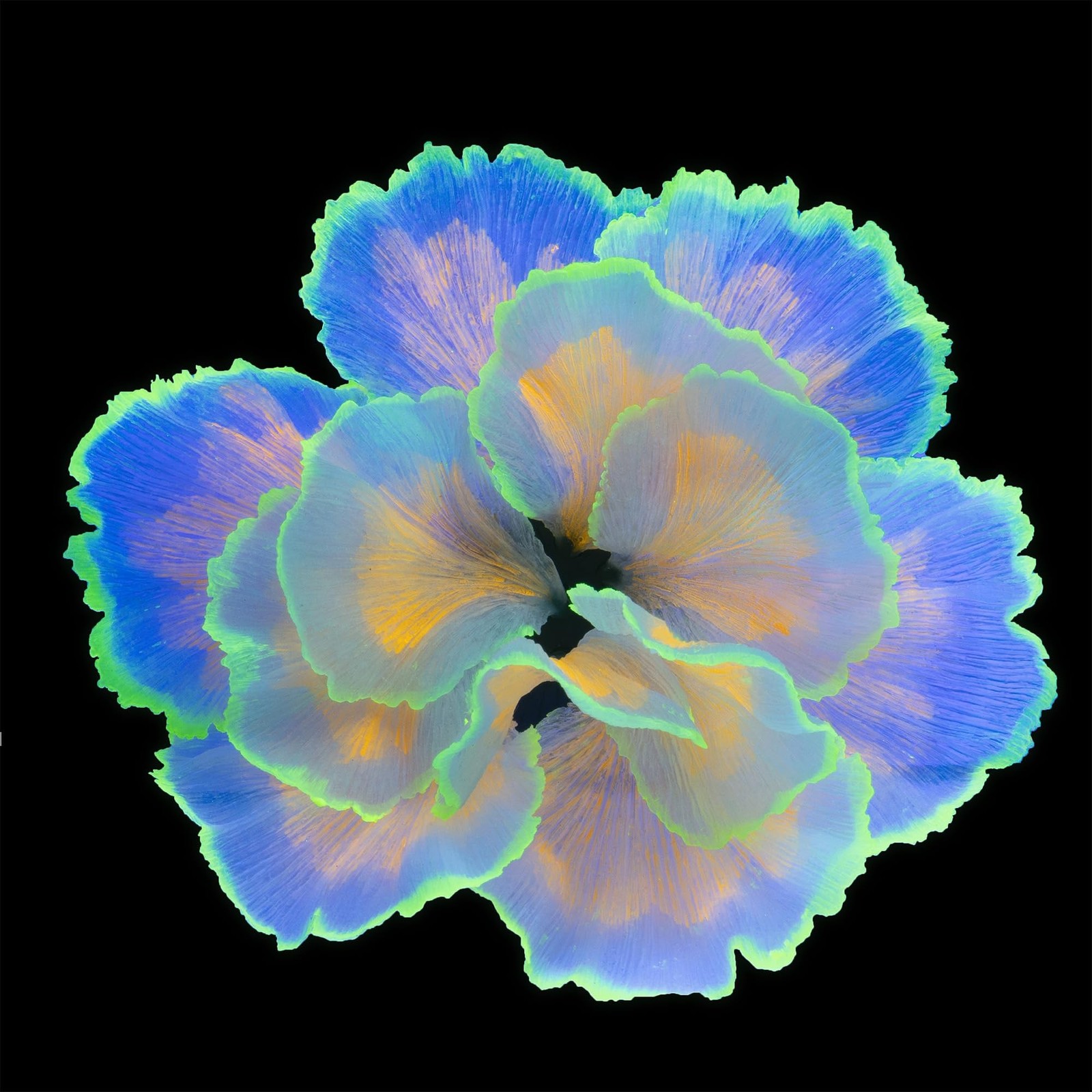 Fish Tank Decorations Glowing Flower Aquarium Decorations Aquatic Plants Bett...