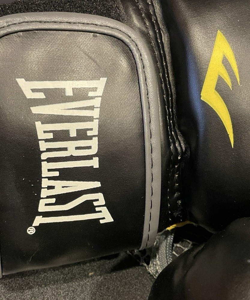 Everlast Classic Boxing Training Gloves Adjustable