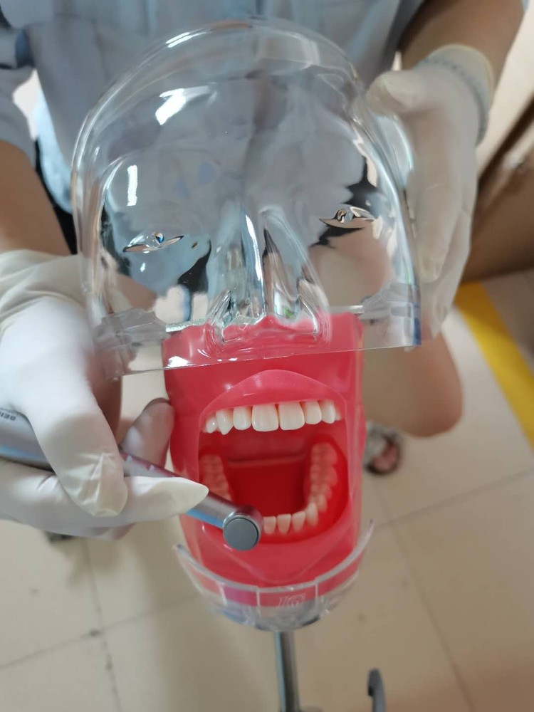 Dental Simulator Manikin Phantom Head Model Training Model Installing on Table