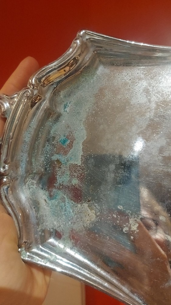 Silver Plated Crumb Catcher