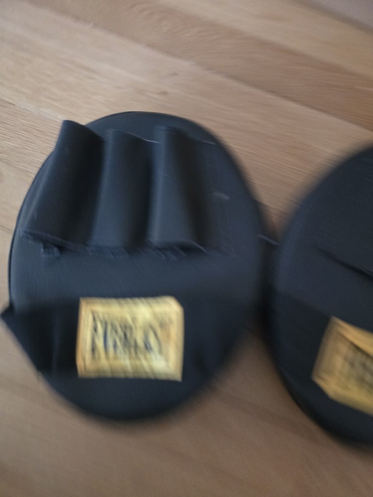 Everlast Punching Mitts