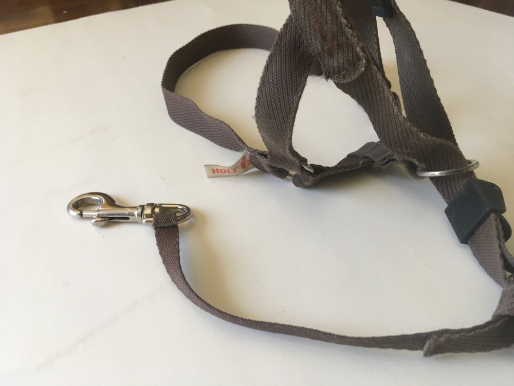 HOLT Soft Dog Muzzle, Adjustable Head Rope Mouth Collar Size 3