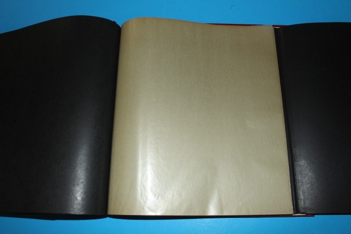 Elbe Red Washington Presentation A 100 Glassine pages springback BlueLakeStamps