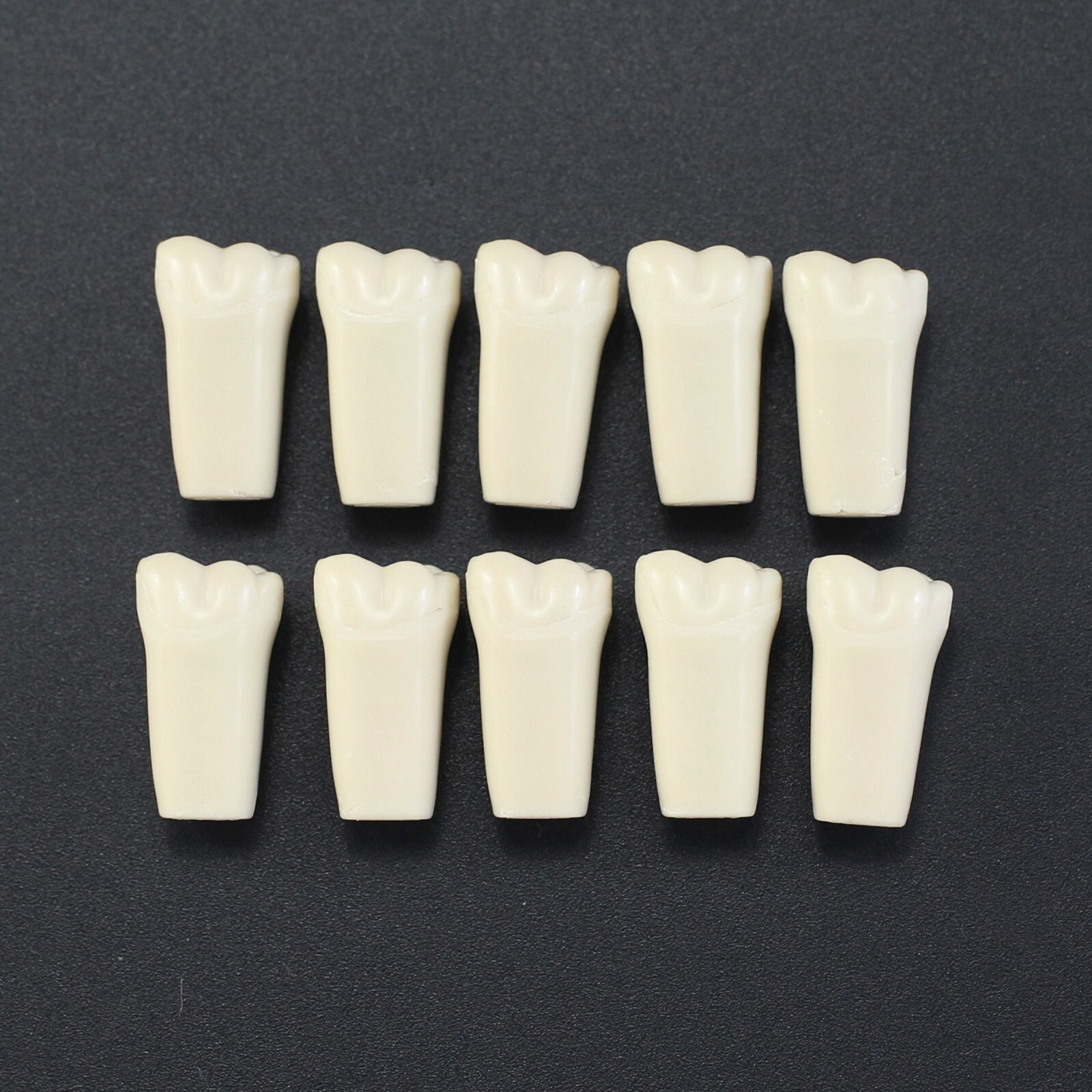 Columbia 860 10pcs/lot Dental Individual Typodont Teeth Replacement