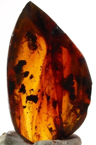 ++ Winged Ant!! In Mexican Amber Specimen 4g