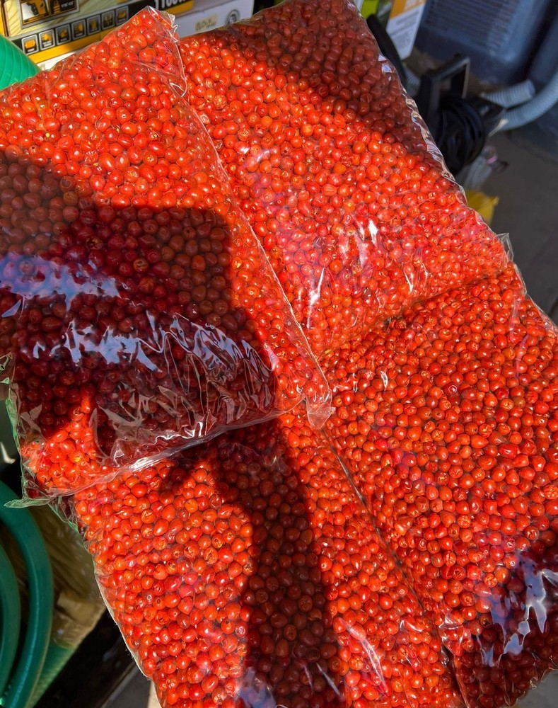 CHILTE FARM Chile Chiltepin Libra