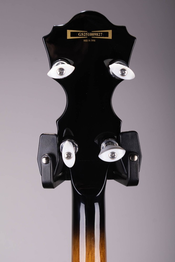 Ibanez B300 5 String Closed Back Banjo Natural