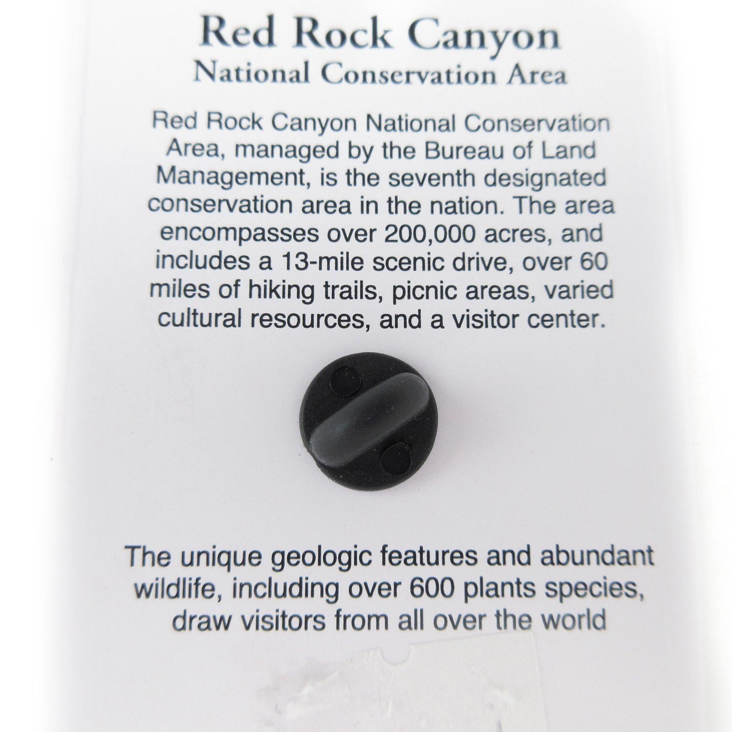 Red Rock Canyon Souvenir US Geological Survey USGS Benchmark Token Pin