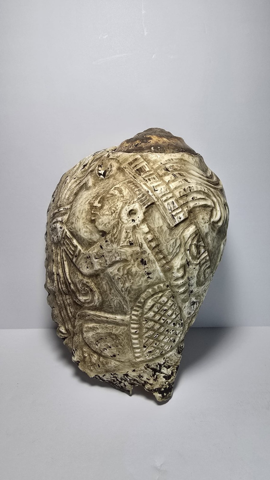 Precolumbian Mayan Snail With Ceremonial Glyph 700 AD 1200 AD