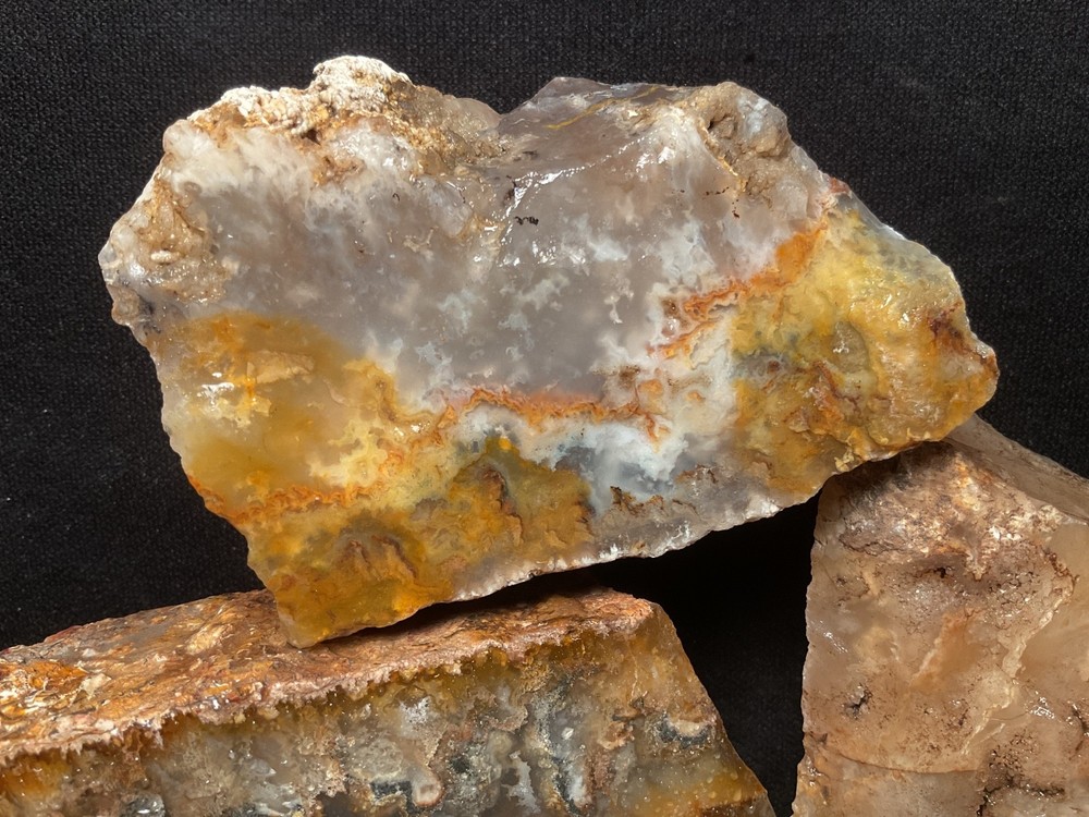 ~RW~ "GRAVEYARD POINT PLUME AGATE" ~~ ONE POLISHED~~OREGON