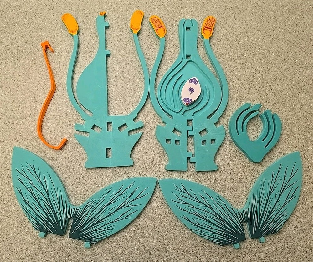 Model Plus Science Models Flowers Classroom Foam Model with Teacher's Notes