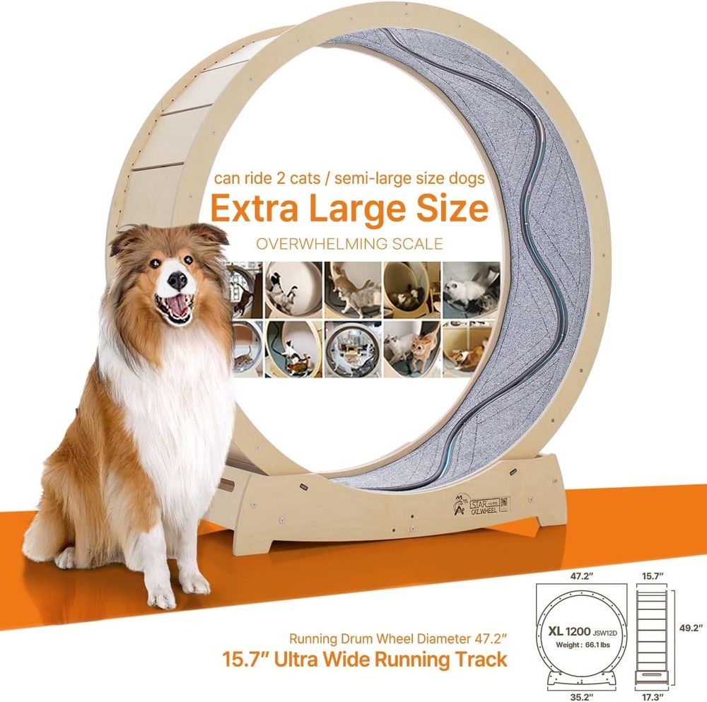 Large Cat Exercise Wheel for Climbing and Scratching, Safe and Durable Materials