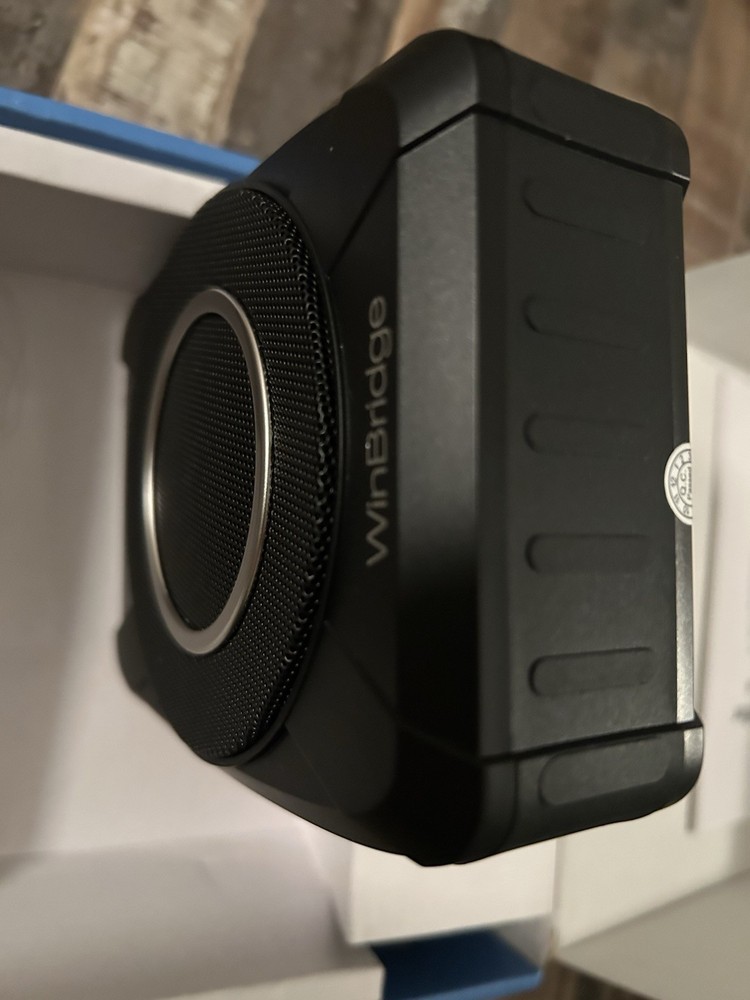 WinBridge: Voice Amplifier Wireless Microphone, 20W Portable PA System