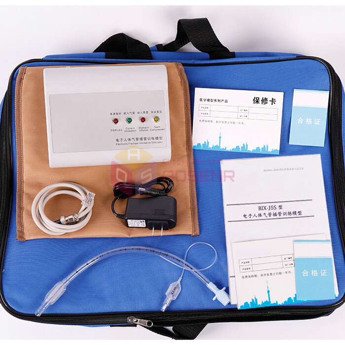 Electronic Tracheal Intubation Simulator Intubation Manikin Study Teaching Model