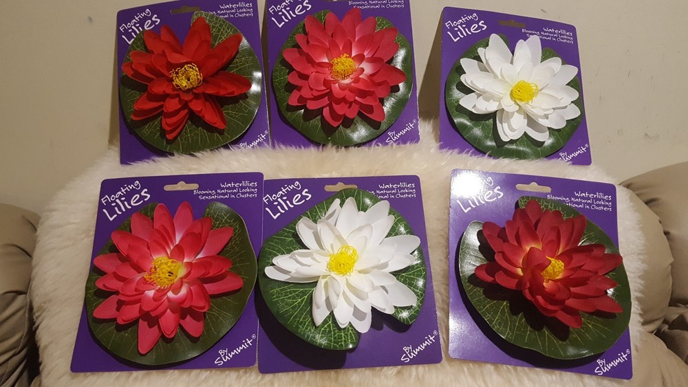 New 6 Summit floating waterlilies A