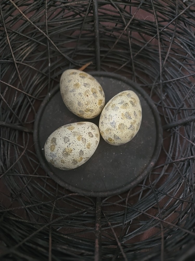 VTG Decorative Easter Egg Wire Basket Eggs - Spring Farmhouse