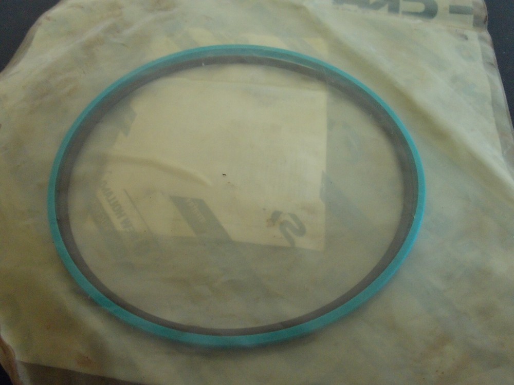 CASE - SEAL, RING OEM - 5199232 BX5ARL