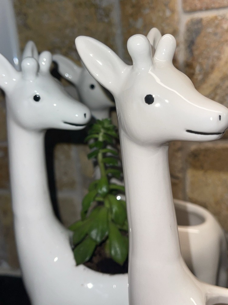 9.5 Inch Ceramic Giraffe Planter