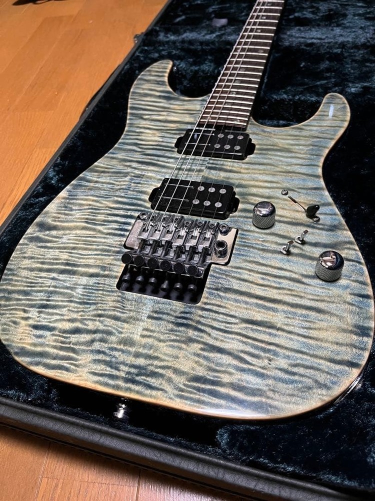 T's Guitars DST-24 Order Electric Guitar