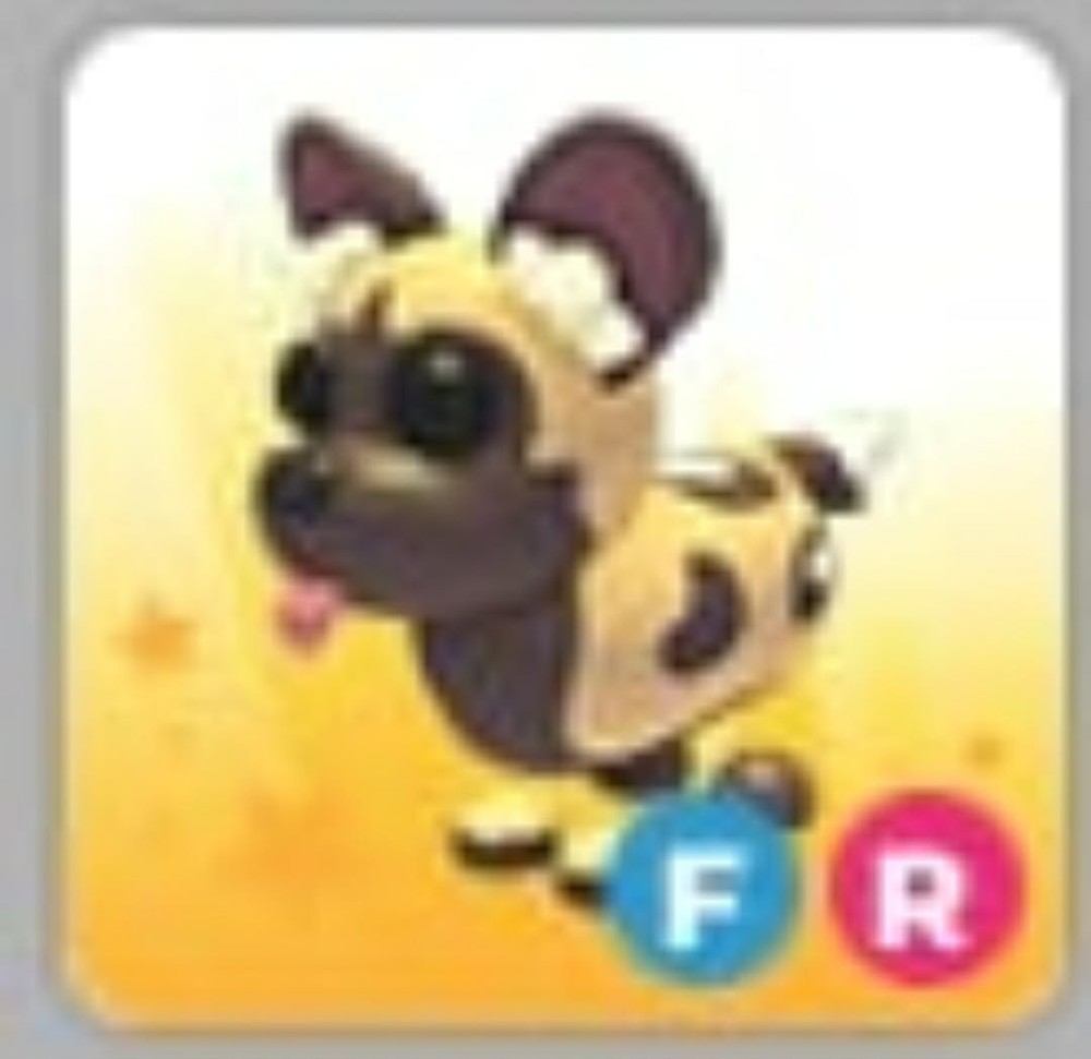 FR African Wild Dog - *SAME DAY DELIVERY* - Adopt