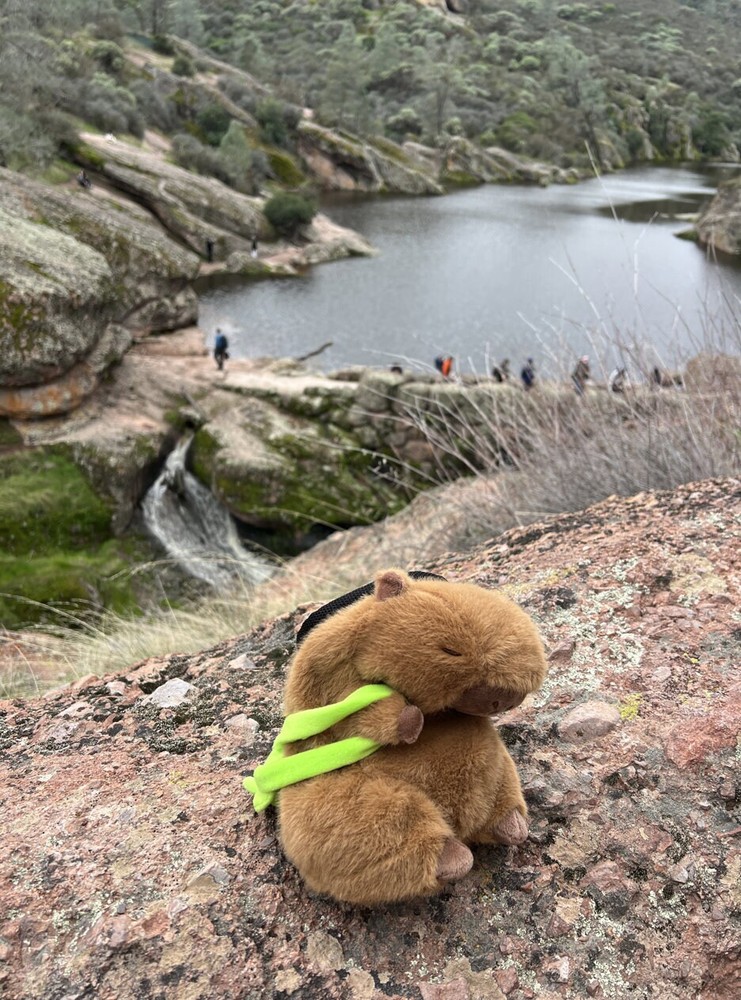 Capybara Chalk Bag