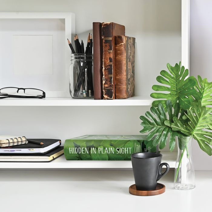 Book Storage Book “Hidden In Plain Sight”