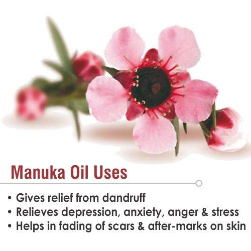Salvia Manuka Oil 15ml