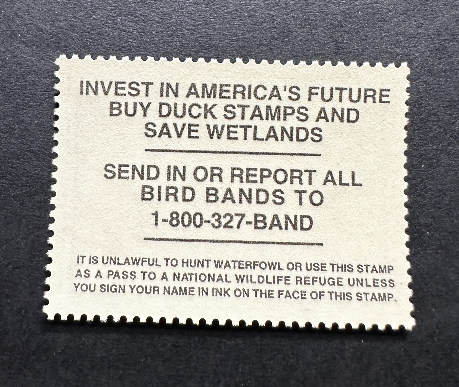 WTDstamps - #RW64 1997 - US Federal Duck Stamp - Mint OG NH