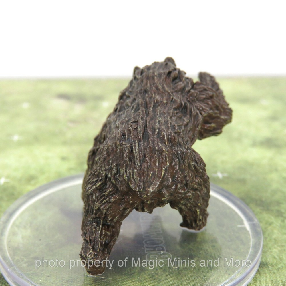 Wild Shape Polymorph ~ BROWN BEAR #11 Icons Realms D&D Spell Effects miniature