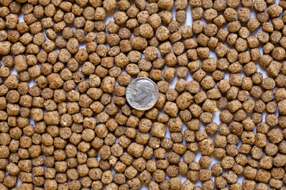 America's Best Koi Food Large Floating Pond Pellets 32% Protein Koi Fish Food