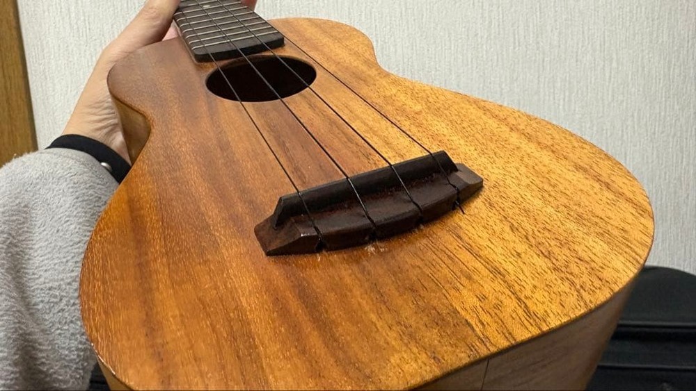 Mana ukulele gear peg pickup with hard case