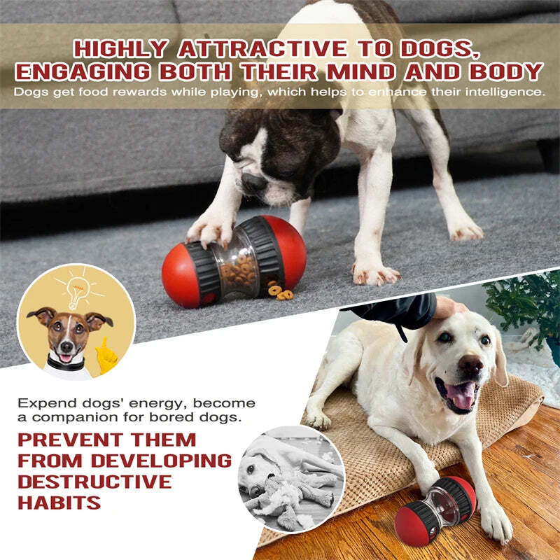 Dog Toys Increase Intelligence Elliptical Track Rolling Ball Leaky Food Develop