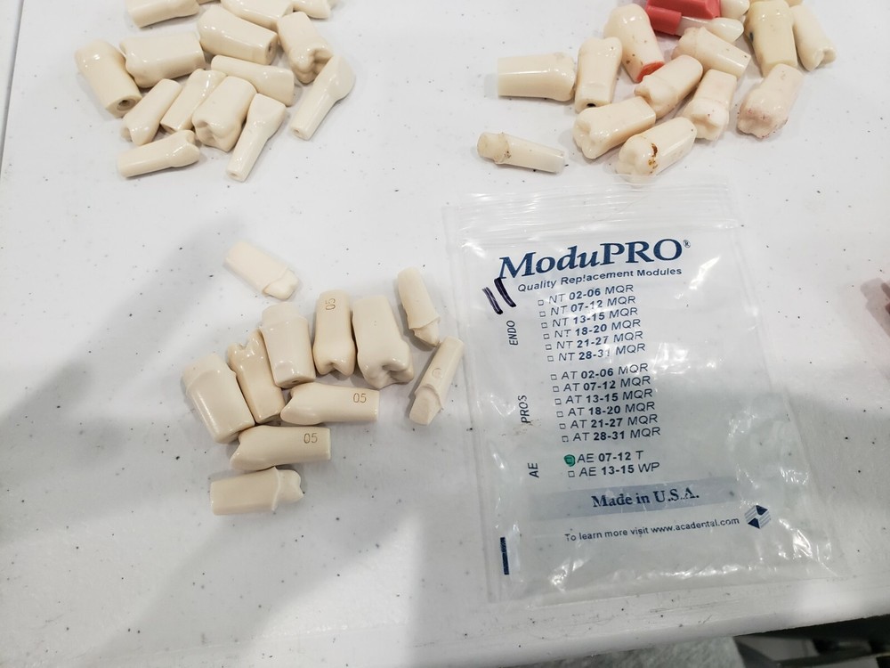Modupro Replacement Modules - Endo Extracted Tooth Substitute- Acadental 67 pcs